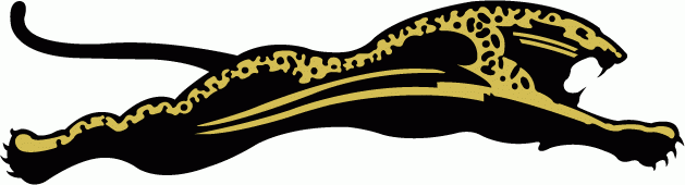 Jacksonville Jaguars 1993-1994 Unused Logo iron on transfers for fabric